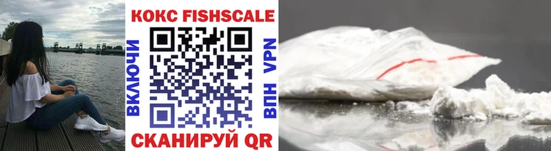 Купить закладки  Камызяк  COCAIN 99% 