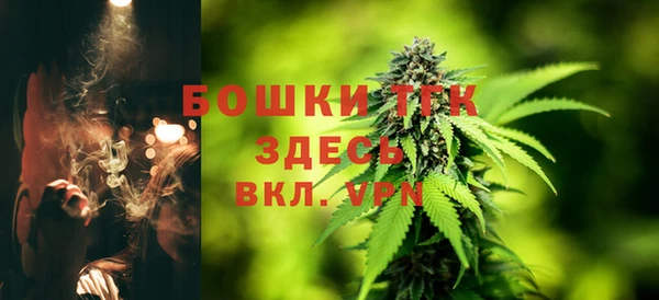 ECSTASY Вяземский