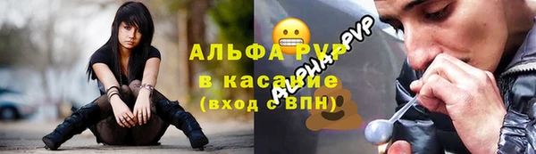 ECSTASY Вяземский