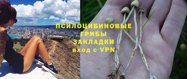 ECSTASY Вяземский