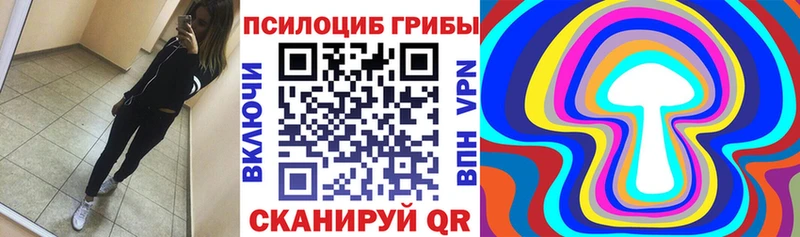 Купить закладки  Камызяк  Галлюциногенные грибы прущие грибы 
